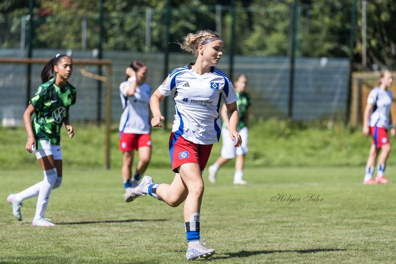 Bild 130 - wBJ Hamburger SV - VfL Wolfsburg : Ergebnis: 5:1
